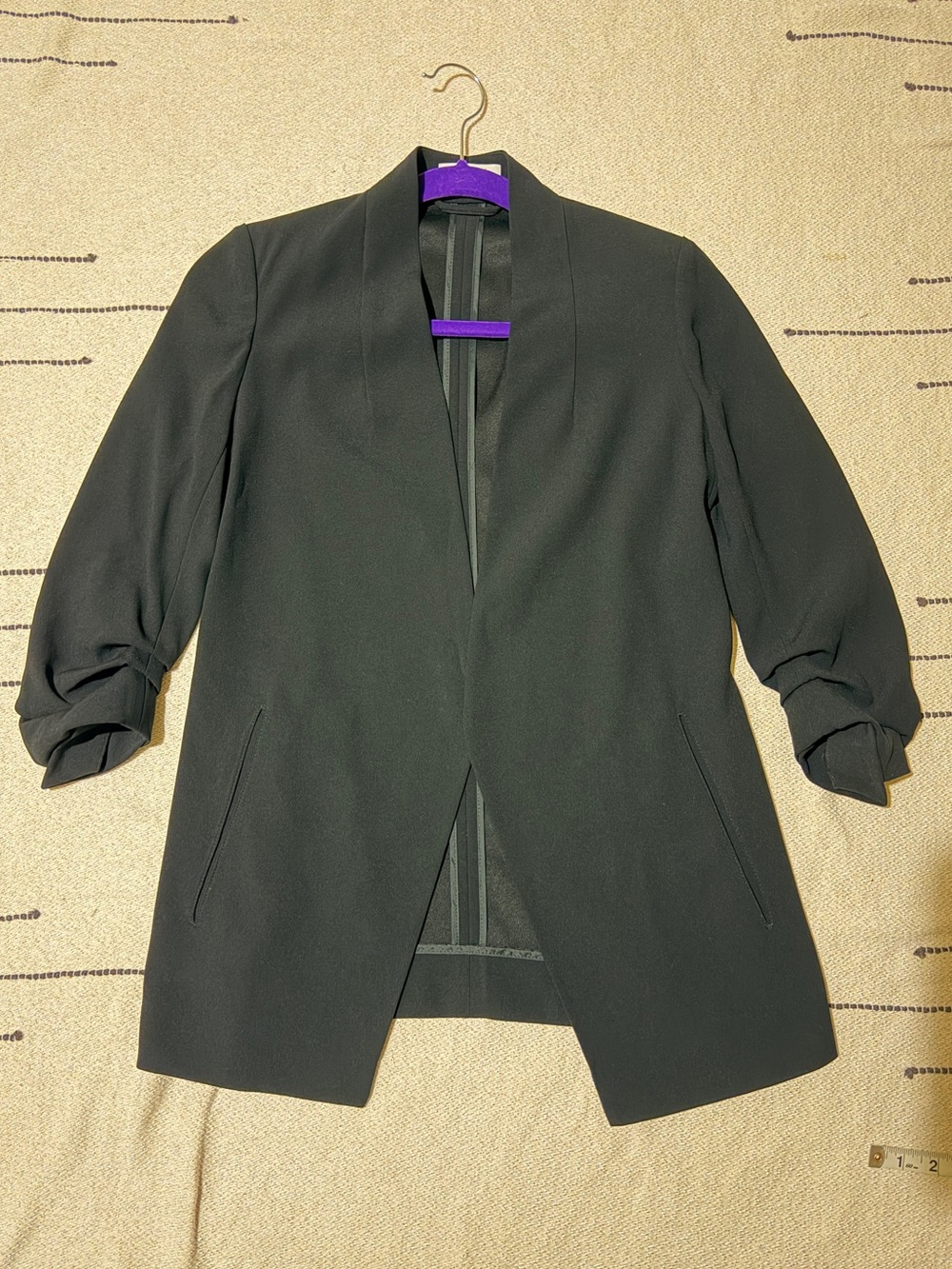 Aritzia Babaton Power Blazer (crepe)
